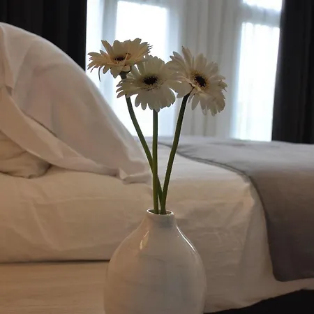 Adam 호텔 4*