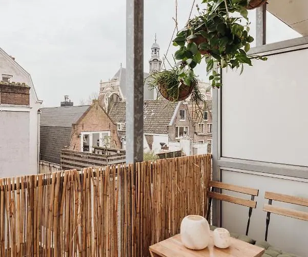 Adam 암스테르담