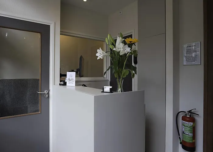 Adam 암스테르담